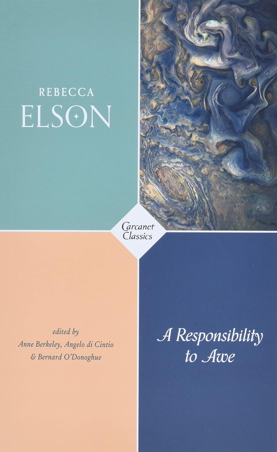 Rebecca Elson: A Responsibility to Awe (Paperback, 2018, Carcanet Press, Limited)